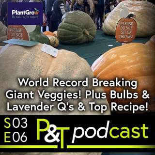 World Record Vegetables! Bulb Essentials, Question on Heather & Lavender & a Delicious Jam Recipe!