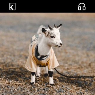 Which animal is called a kid?