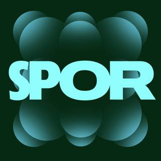 rss-spor