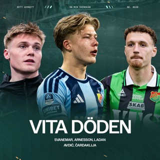 #658 Silly Season går på högvarv | Anes Cardaklija om framtidens tuffa val