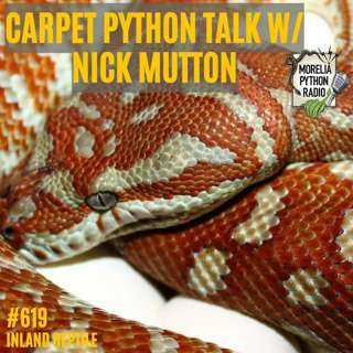Carpet Python Talk W/ Nick Mutton of Inland Reptile