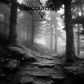 544 | 5 Appalachian Trail Murders and Disappearances that will DISTURB YOU