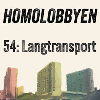 Langtransport: Flaggforbud, sengetørke, reise-alene-tips