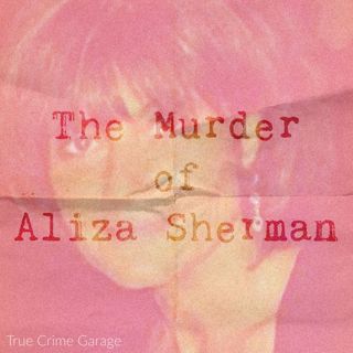 The Murder of Aliza Sherman /// Part 4 /// 170