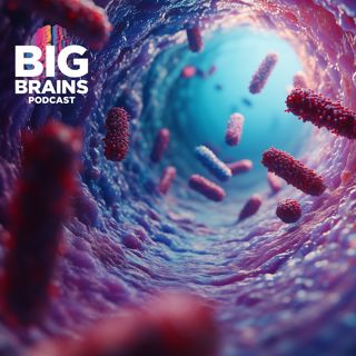 Why The Key to Treating Cancer May Be In Your Gut, with Thomas Gajewski