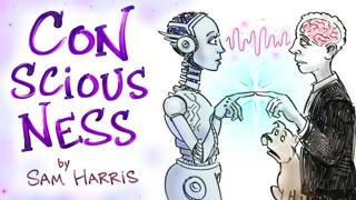 How Does Matter Give Rise To Consciousness? - Sam Harris | After Skool