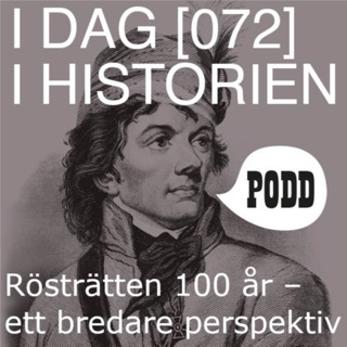 Rösträtten 100 år – ett bredare perspektiv