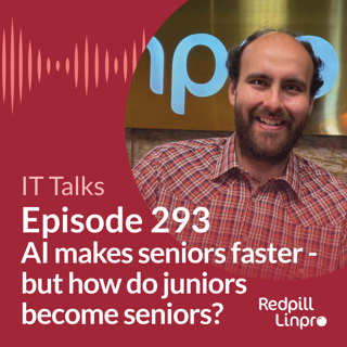 293 AI makes seniors faster – but how do juniors become seniors?