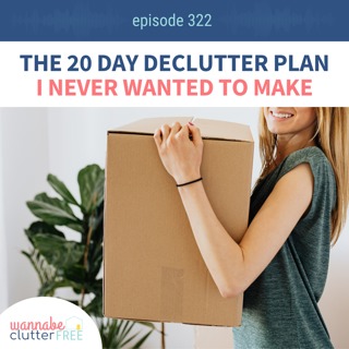 The 20 Day Declutter Plan I Never Wanted to Make (Ep 322)