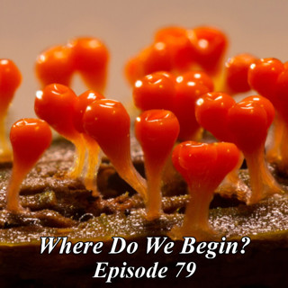 Where Do We Begin Episode #79: The 16 Smells