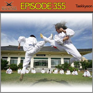 Episode 355 - Taekkyeon