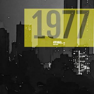 1977 NEW YORK CITY MAYORAL RACE