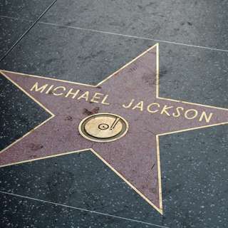 Mom & The Michael Jackson Fan