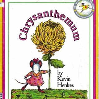 Chrysanthemum