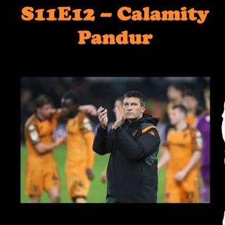 S11E12 - Calamity Pandur