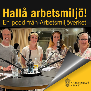 Hallå arbetsmiljö! #13 - Regler