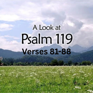 Psalm 119 verses 81 to 88