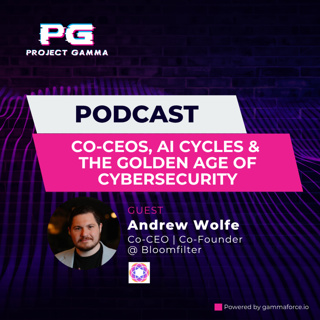 Episode 19 - Co-CEOs, AI Cycles & the Golden Age of Cybersecurity