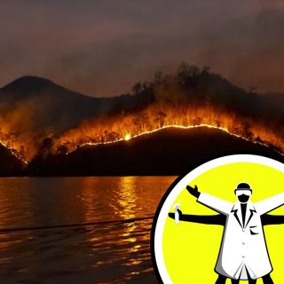Wildfires worldwide, and algae microbots for drug delivery