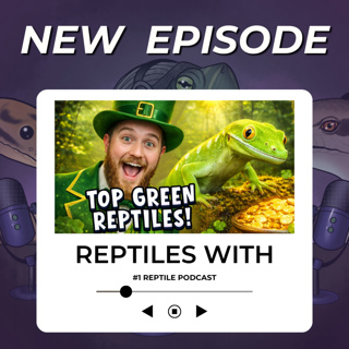 Top 5 Favorite Green Reptiles & St. Patrick K*LLED SNAKES?! | Reptiles With Podcast