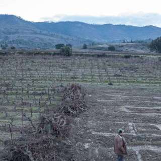 France Revives Wine Industry Plan, EU Warns Portugal Budget Risks, Germany Sees Fireworks Boom, Adenot Leads Educational ISS Mission, and more...