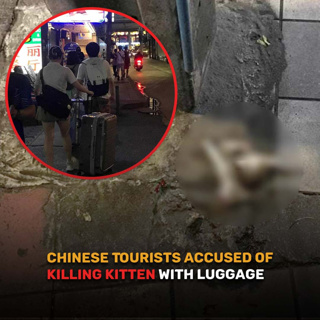 Good Morning Thailand EP.708 | Chinese Tourists Accused of Killing Kitten with Luggage & More..