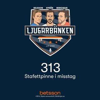 Stafettpinne i misstag