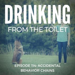 #114: Accidental Behavior Chains