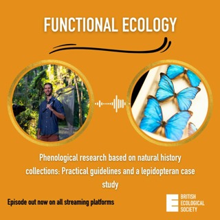 Guidelines for using NHCs to better understand how biological events are responding to global change