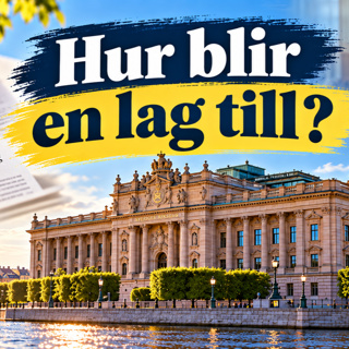 Hur blir en lag till? - 141