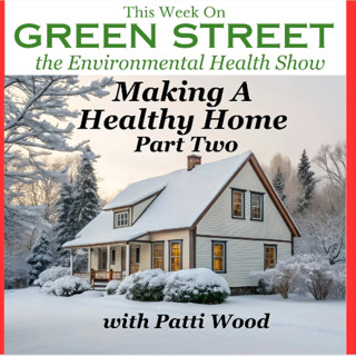 Making a Healthy Home - Part Two