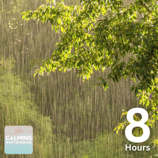 Sleep Like a Baby! Gentle Rain Sounds to Fall Asleep Fast (8 Hours)