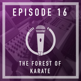 Episode 16 - The forest of Karate