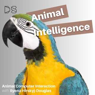 Animal Computer Interaction