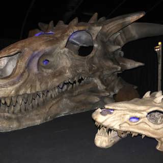 Drakarnas historia