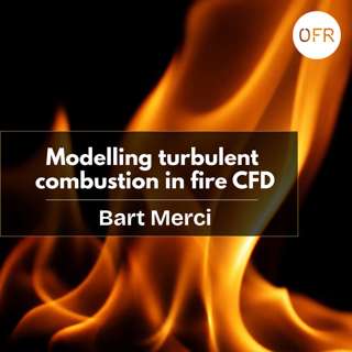 256 - Modelling turbulent combustion in fire CFD with Bart Merci