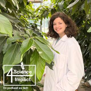 Science4Impact: Avokado i Norge? – med forsker Carolina Palma