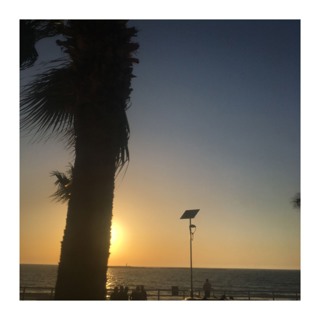 Voices from Beirut