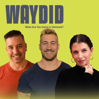 145 | Should Working Out Be Taxed? Why Denmark Just Made Gyms More Expensive