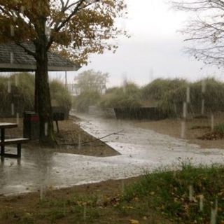 Rain and Thunder in a Picnic Shelter: Cozy Thunderstorm Ambience - 10 Hours Sleep Sound