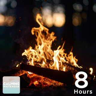 đ„ Crackling Firewood Sounds for Focus (8 Hours) | Fireplace Ambience