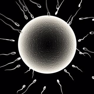 The Evolution of Love and Sex with Dan Savage
