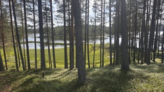 479. Fri och förlåten