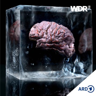 Algor Mortis. Hirnfrost - Fehler beim Einfrieren nach dem Tod