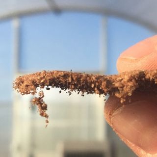 Living Soil Crusts With Corey Nelson