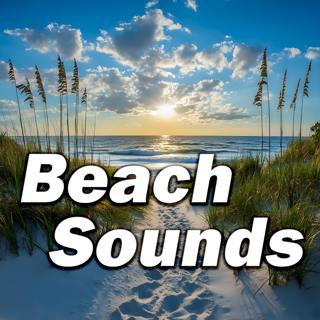 Dreamy Beachfront Bliss: Gentle Surf Harmony