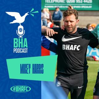 When opportunity knocks with Mikey Harris