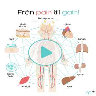 Från Pain till Gain