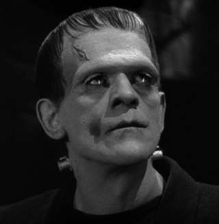 Episode 201 – On James Whale's 'Frankenstein' and 'Bride of Frankenstein,' with Peter Bebergal