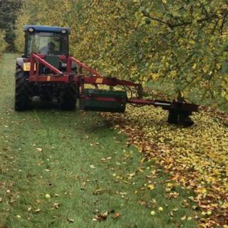 371: Save Your Back! Mechanical Harvesting of Apples